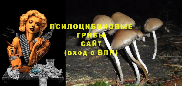 кокаин премиум Богородицк