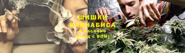а пвп мука Богданович